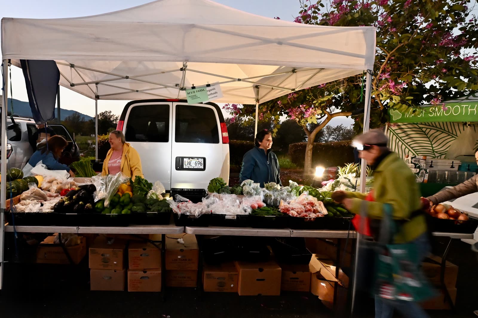 Farmers market at dusk